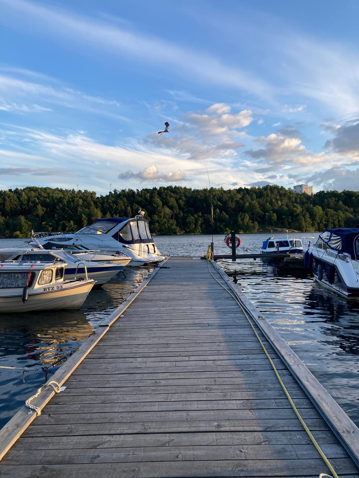 Marine detailing and boat scum line removal near Murphysboro IL